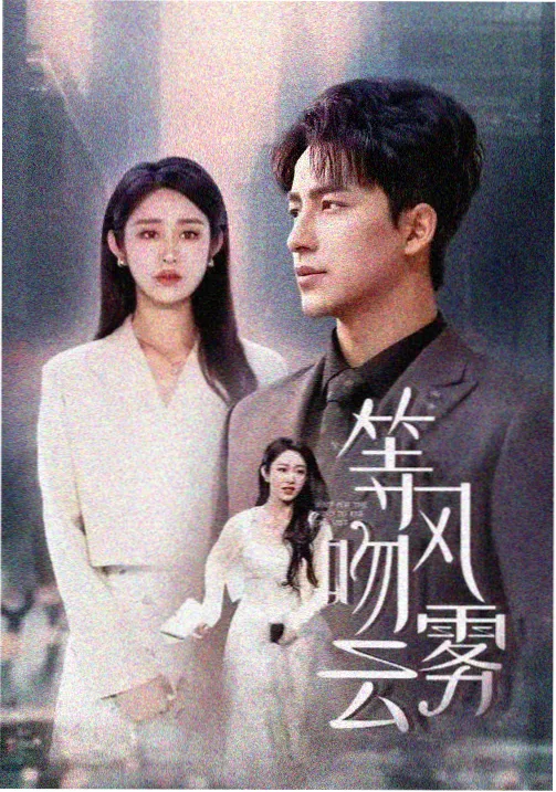 在线影院观看律政剧双面律师封面